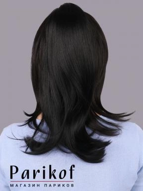 Шиньон Lola-T 1