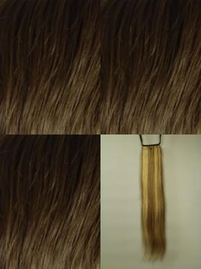 Шиньон 3901 HH 12