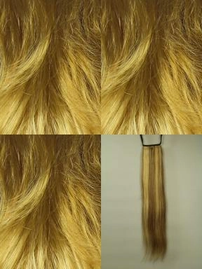 Шиньон 3901 HH 24/613