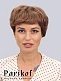 Натуральный парик BHH3 8.30 купить в Москве - Parikof