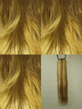 Шиньон 3901 HH 24/613