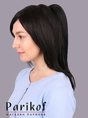 Шиньон Lola-T 1