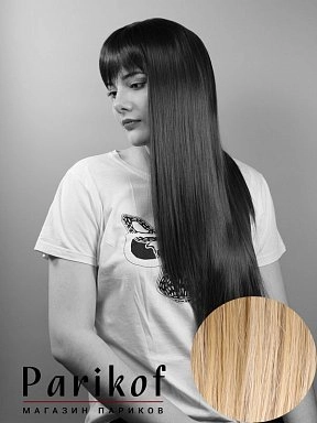 Парик RUS-31A 19/613