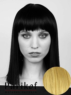 Парик Aida AT 26t613a
