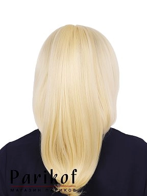 Шиньон Lola-T 613