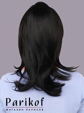 Шиньон Lola-T 1