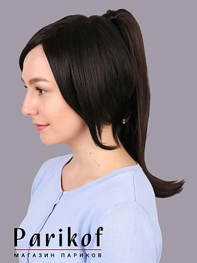 Шиньон Lola-T 4