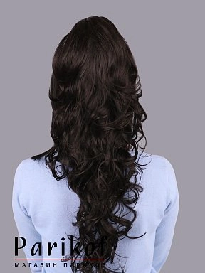 Шиньон Elena-T 2