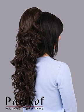 Шиньон Elena-T 6