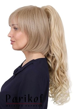 Шиньон Elena-T 24bt613