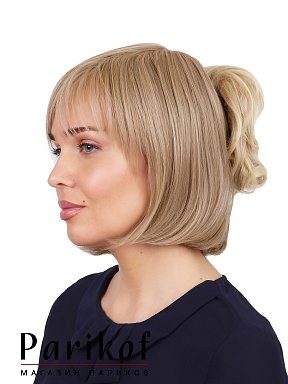 Шиньон Yana-T 24bt613