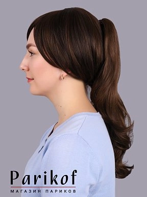 Шиньон Silvia 10